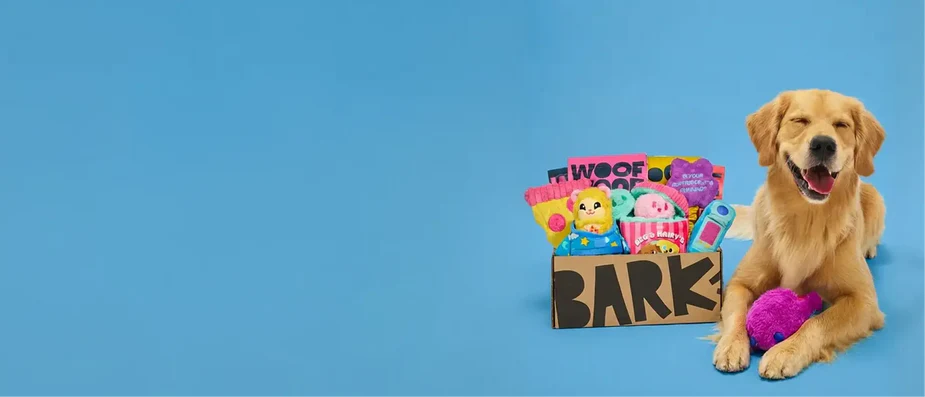 Every Dog Deserves a Party