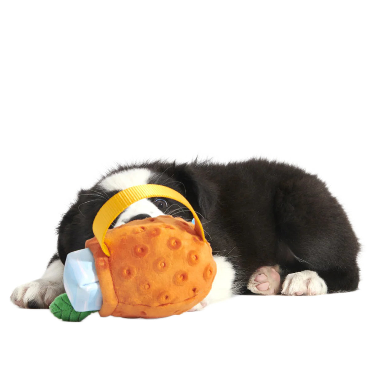 Thumbnail 5