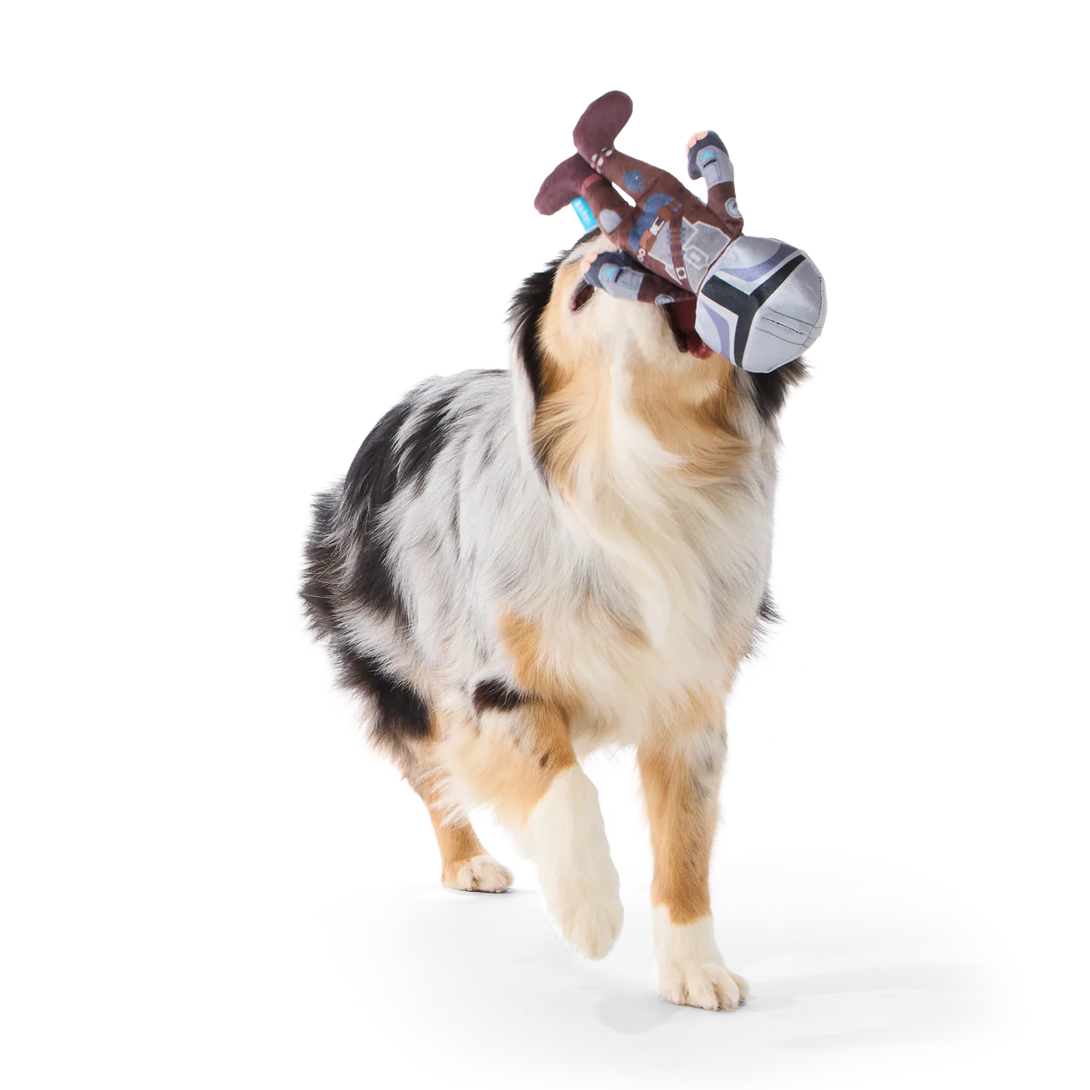 Thumbnail 3