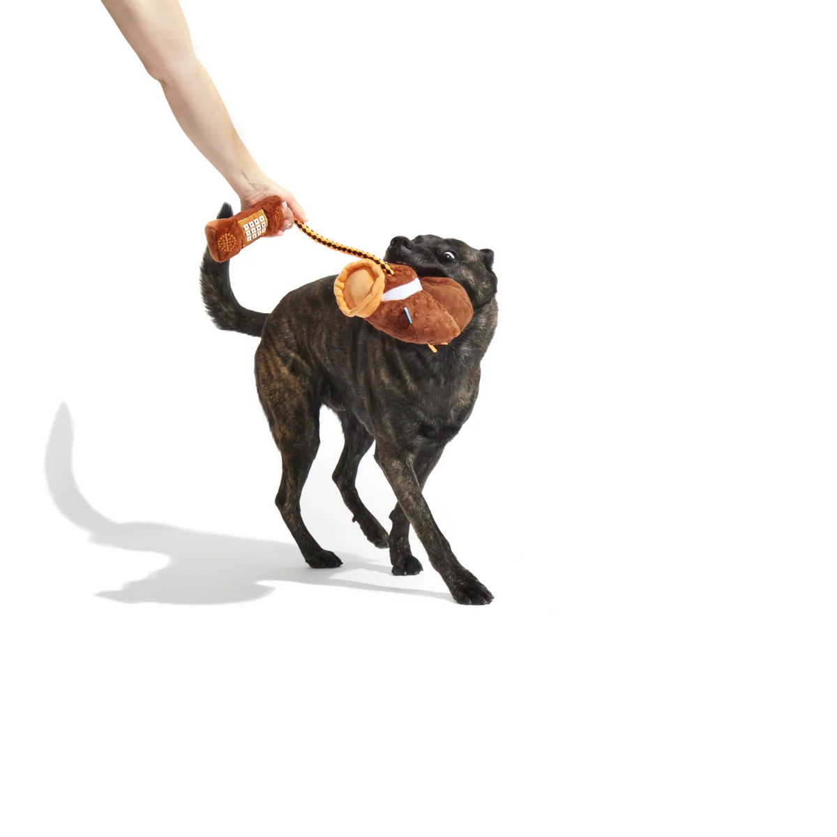 Thumbnail 3