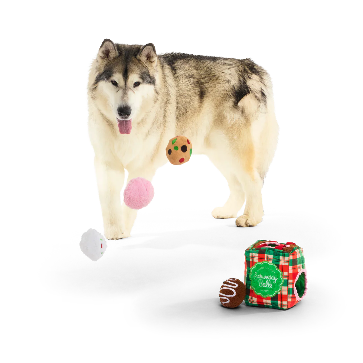 Thumbnail 5