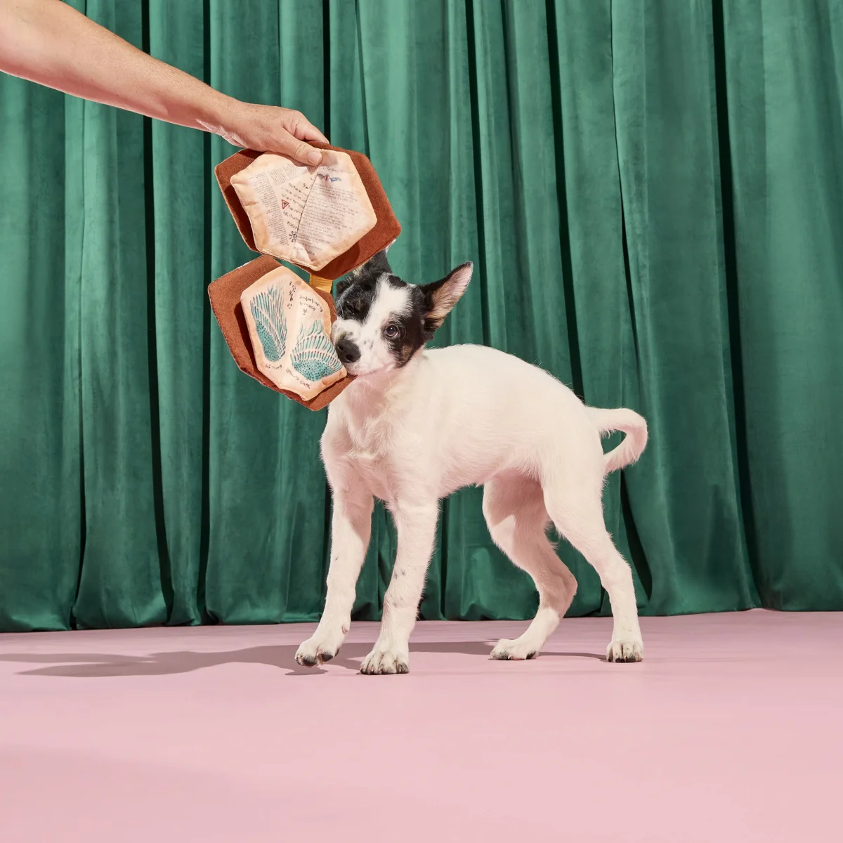 Thumbnail 8