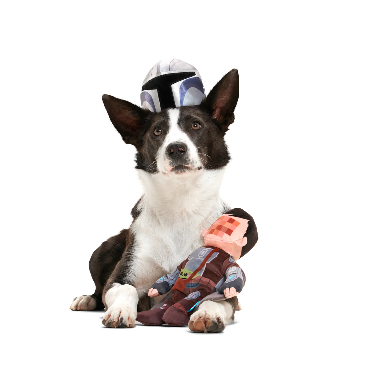 Thumbnail 7